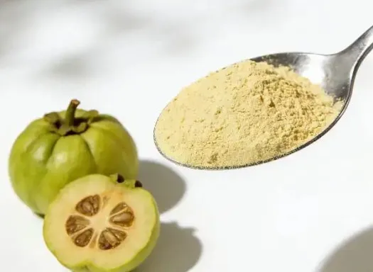 Garcinia Extract ingredient