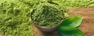 Green Tea Extract ingredient